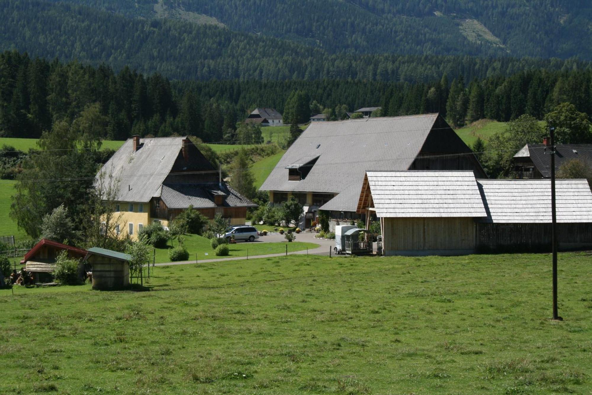 Villa Urlaub am Bio-Bauernhof Liebchen Zeutschach Exterior foto
