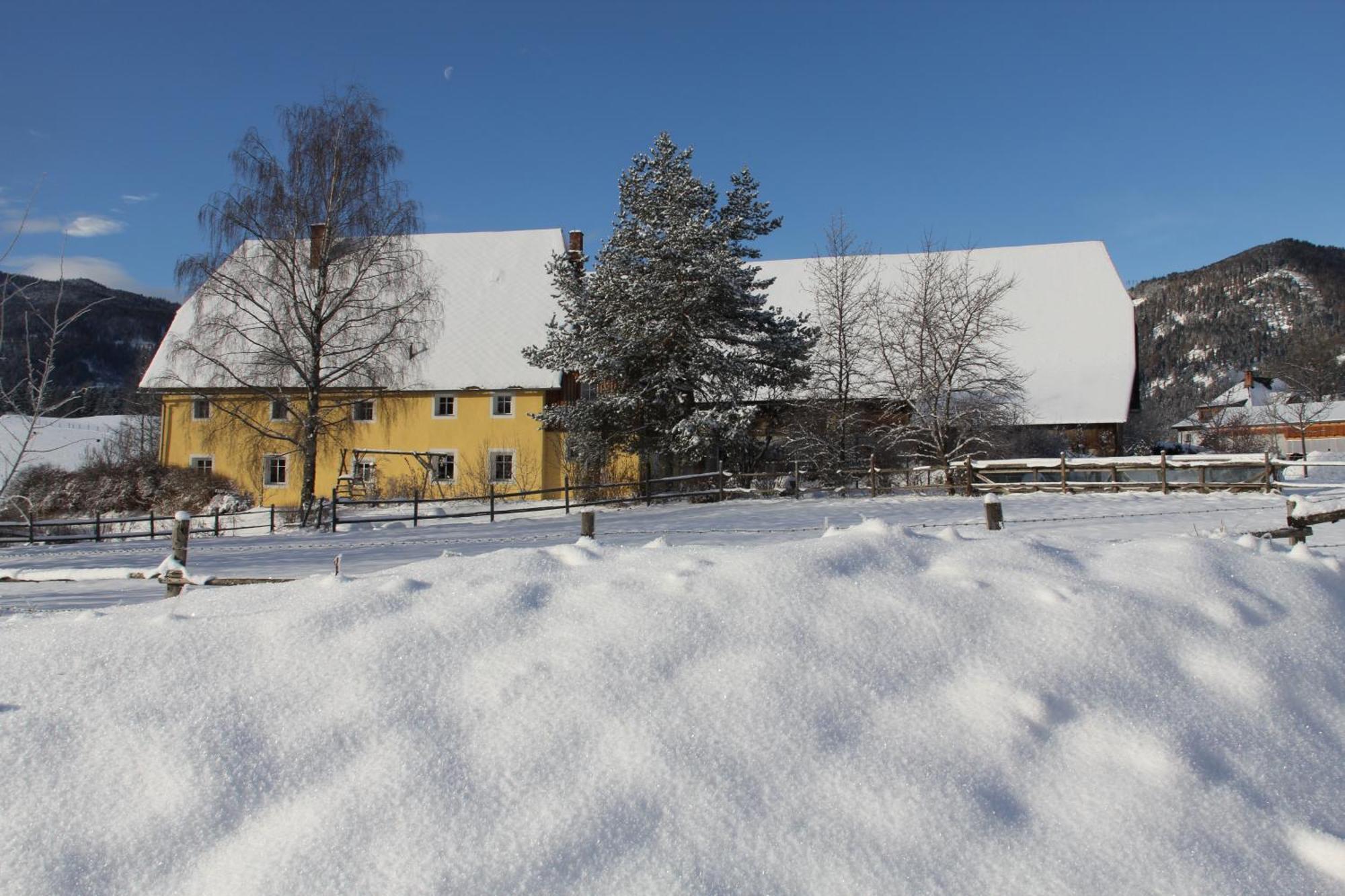 Villa Urlaub am Bio-Bauernhof Liebchen Zeutschach Exterior foto