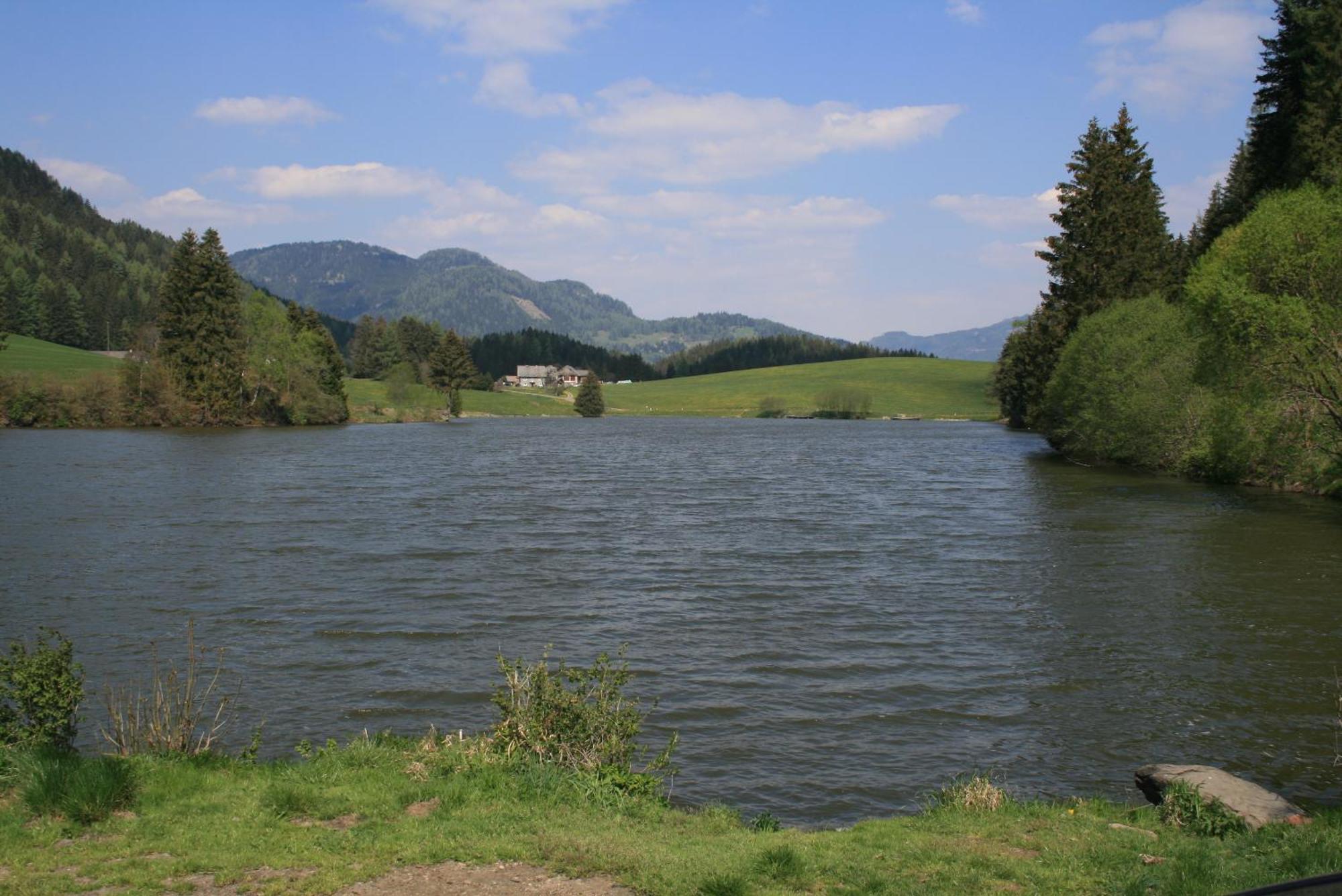 Villa Urlaub am Bio-Bauernhof Liebchen Zeutschach Exterior foto