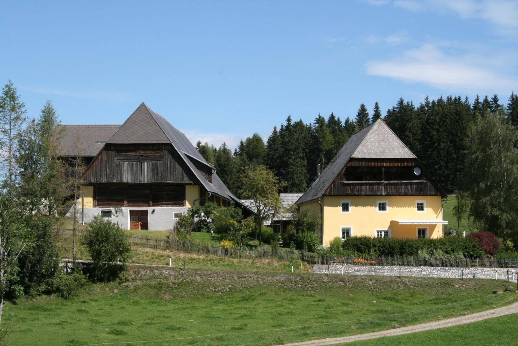 Villa Urlaub am Bio-Bauernhof Liebchen Zeutschach Exterior foto